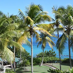 https://rsidence-la-vieille-tour-zenitude-grand-studio-vue-mer.comcaribbean.com